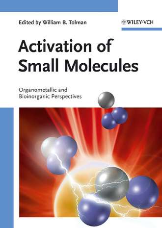 Группа авторов. Activation of Small Molecules