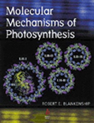 Группа авторов. Molecular Mechanisms of Photosynthesis
