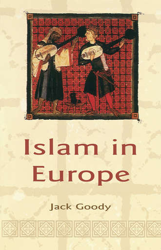 Группа авторов. Islam in Europe