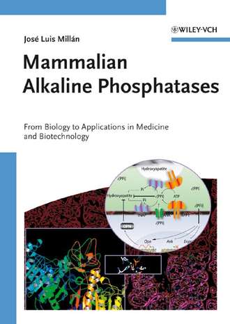 Группа авторов. Mammalian Alkaline Phosphatases