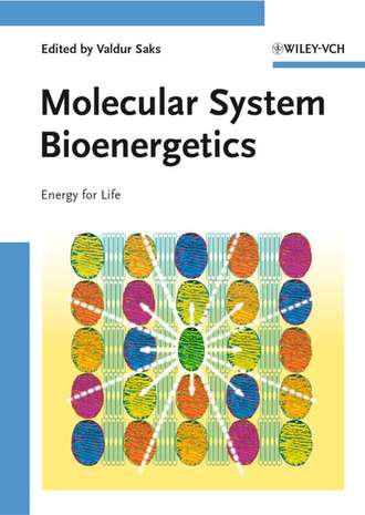 Группа авторов. Molecular System Bioenergetics