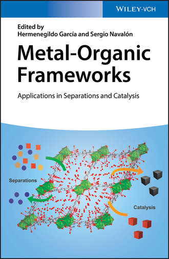 Sergio Naval?n. Metal-Organic Frameworks