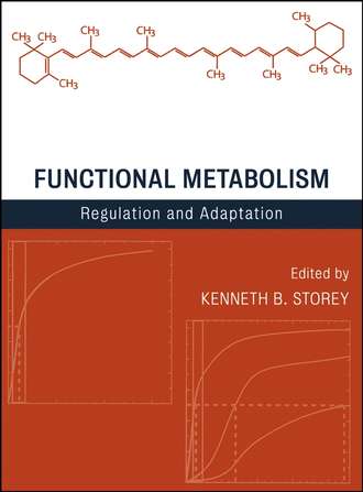 Группа авторов. Functional Metabolism