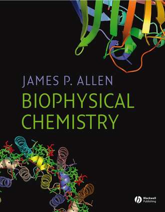 Группа авторов. Biophysical Chemistry