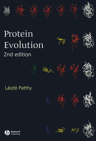 Группа авторов. Protein Evolution