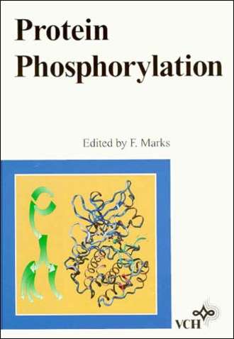 Группа авторов. Protein Phosphorylation
