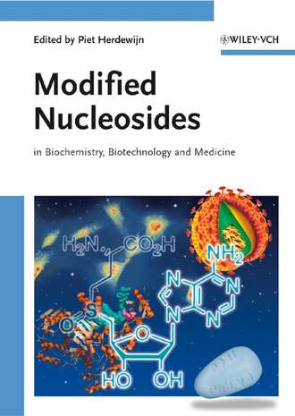 Группа авторов. Modified Nucleosides