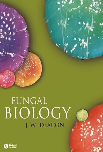 Группа авторов. Fungal Biology
