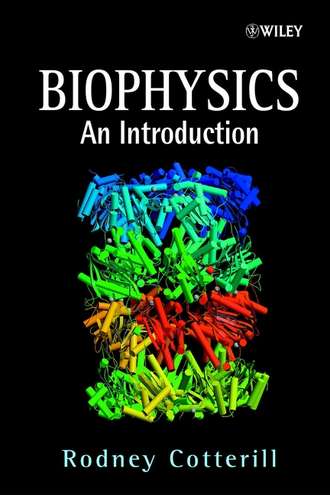 Группа авторов. Biophysics