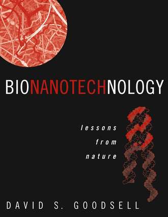 Группа авторов. Bionanotechnology