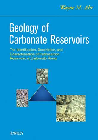 Группа авторов. Geology of Carbonate Reservoirs