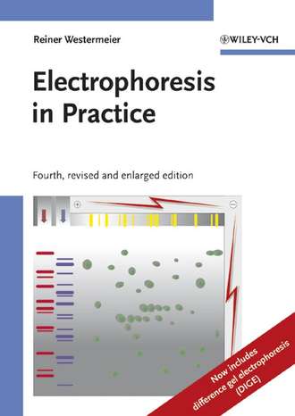 Группа авторов. Electrophoresis in Practice