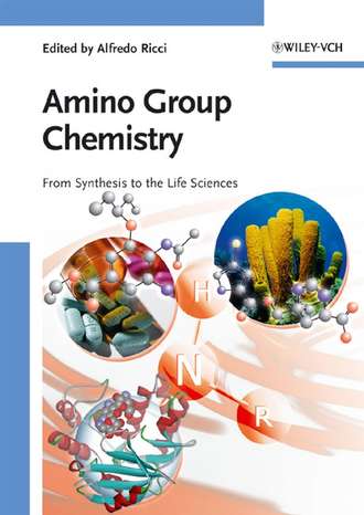 Группа авторов. Amino Group Chemistry