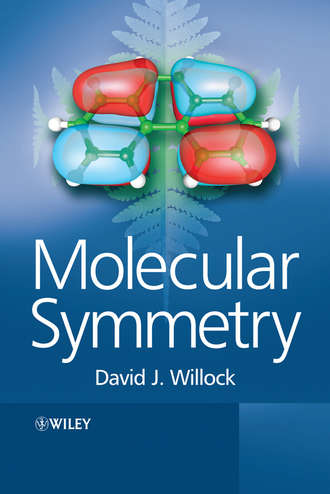 Группа авторов. Molecular Symmetry