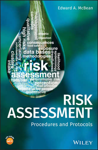 Группа авторов. Risk Assessment
