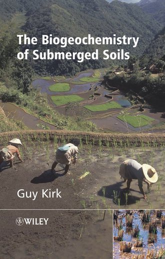 Группа авторов. The Biogeochemistry of Submerged Soils