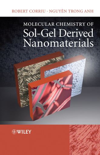 Robert  Corriu. Molecular Chemistry of Sol-Gel Derived Nanomaterials