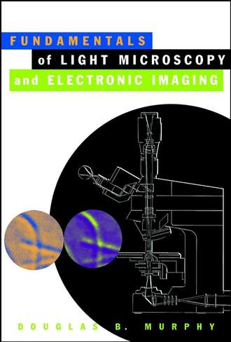 Группа авторов. Fundamentals of Light Microscopy and Electronic Imaging