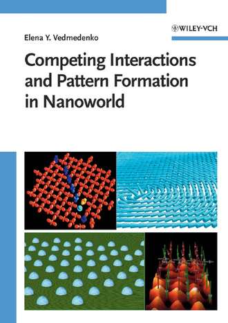 Группа авторов. Competing Interactions and Pattern Formation in Nanoworld