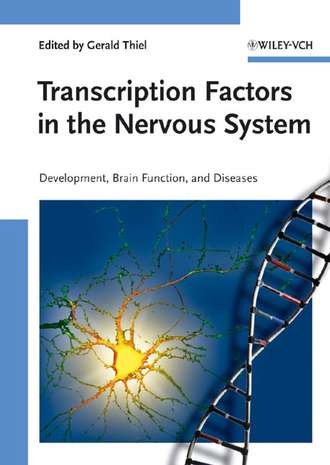 Группа авторов. Transcription Factors in the Nervous System