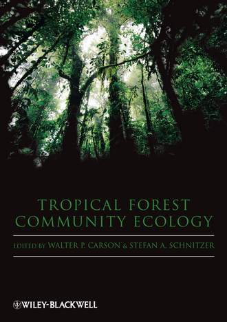 Stefan  Schnitzer. Tropical Forest Community Ecology