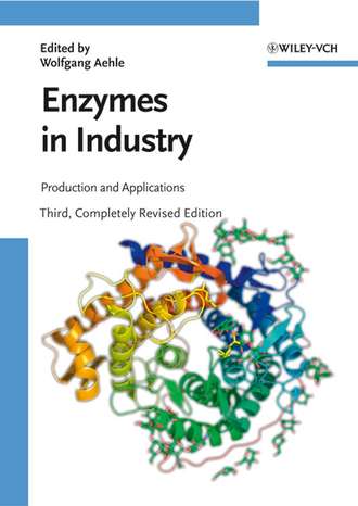 Wolfgang  Aehle. Enzymes in Industry