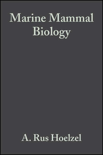 A. Hoelzel Rus. Marine Mammal Biology