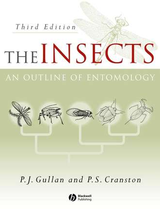 P. Gullan J.. The Insects