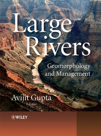 Avijit  Gupta. Large Rivers