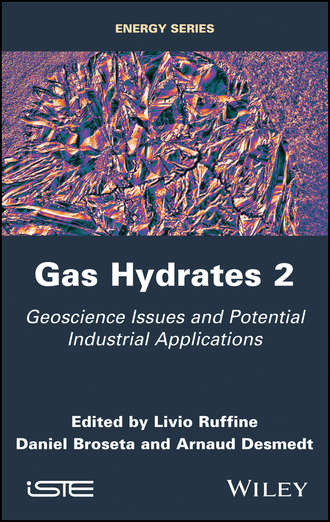 Daniel  Broseta. Gas Hydrates 2