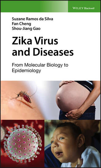 Fan Cheng. Zika Virus and Diseases