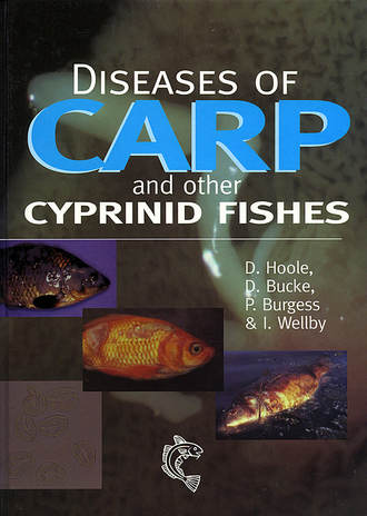 Peter  Burgess. Diseases of Carp and Other Cyprinid Fishes