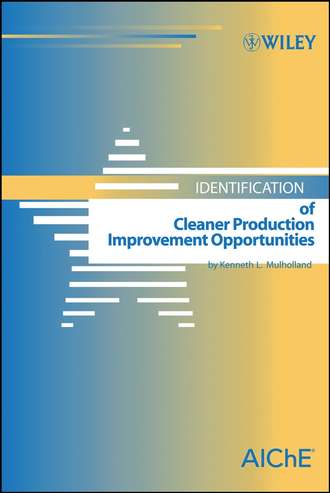 Kenneth Mulholland L.. Identification of Cleaner Production Improvement Opportunities