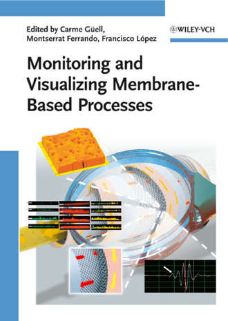 Francisco  Lopez. Monitoring and Visualizing Membrane-Based Processes