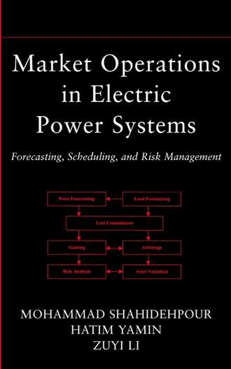 Mohammad  Shahidehpour. Market Operations in Electric Power Systems