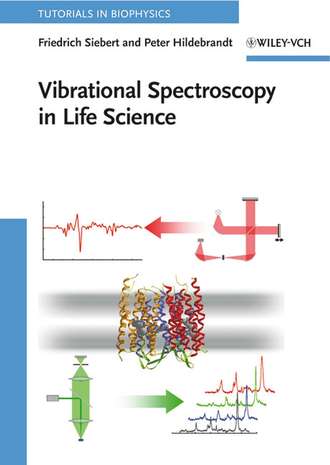 Friedrich  Siebert. Vibrational Spectroscopy in Life Science