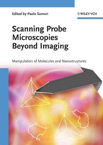 Paolo  Samori. Scanning Probe Microscopies Beyond Imaging