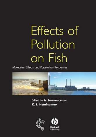 Krystal Hemingway L.. Effects of Pollution on Fish