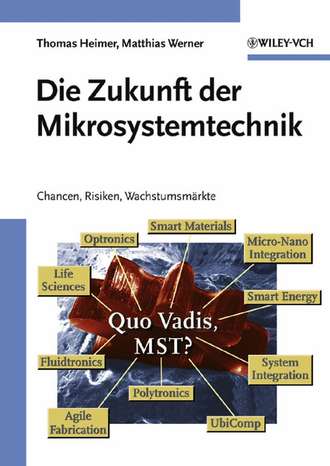 Matthias  Werner. Die Zukunft der Mikrosystemtechnik