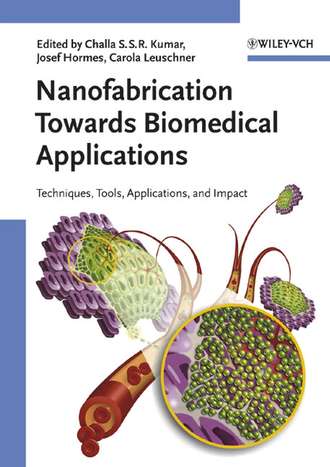 Josef Hormes. Nanofabrication Towards Biomedical Applications
