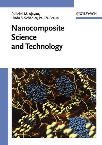 Linda Schadler S.. Nanocomposite Science and Technology