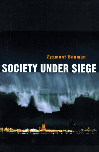 Zygmunt Bauman. Society under Siege