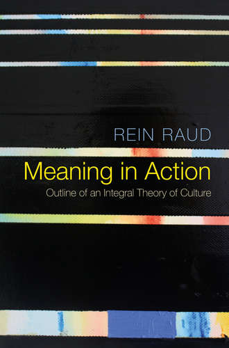 Rein Raud. Meaning in Action