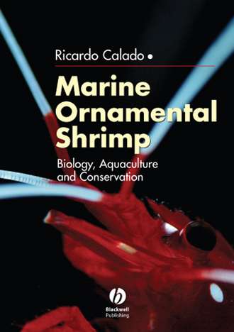 Ricardo  Calado. Marine Ornamental Shrimp