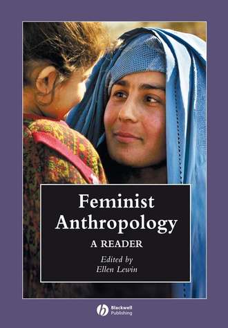 Ellen  Lewin. Feminist Anthropology