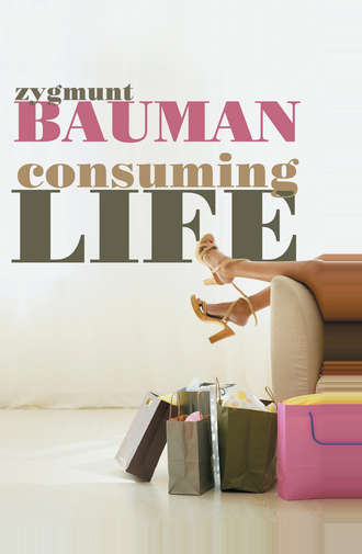Zygmunt Bauman. Consuming Life