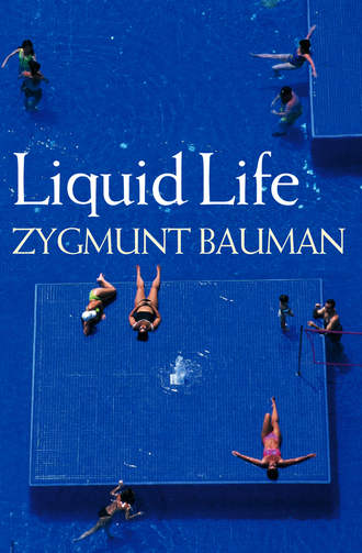 Zygmunt Bauman. Liquid Life