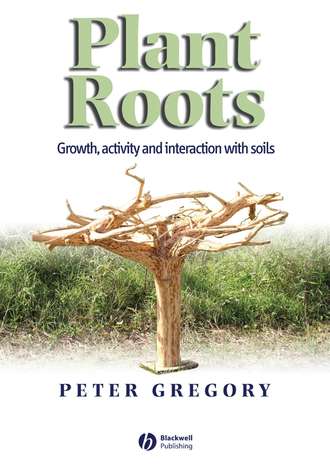 Peter Gregory J.. Plant Roots