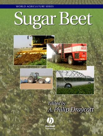 A. Draycott Philip. Sugar Beet