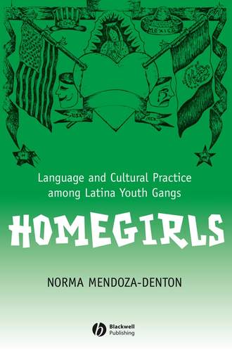 Norma  Mendoza-Denton. Homegirls